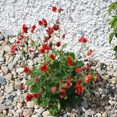 Sea Vista - * ラスマラン