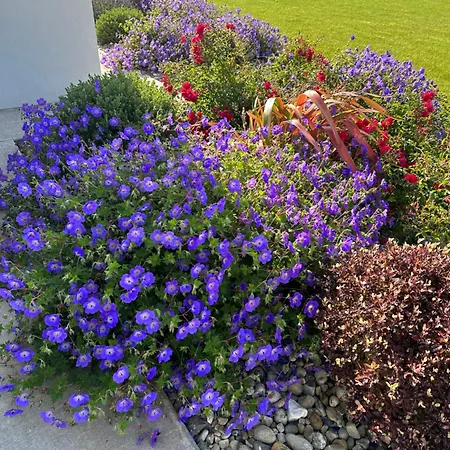 Sea Vista - Vakantiehuis *