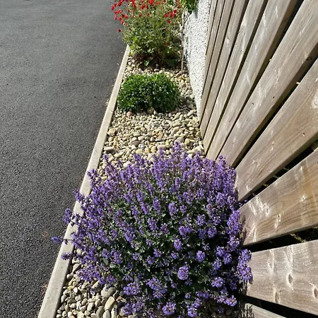 Sea Vista - Rathmullan