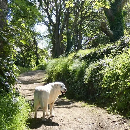 Sea Vista - * Rathmullan