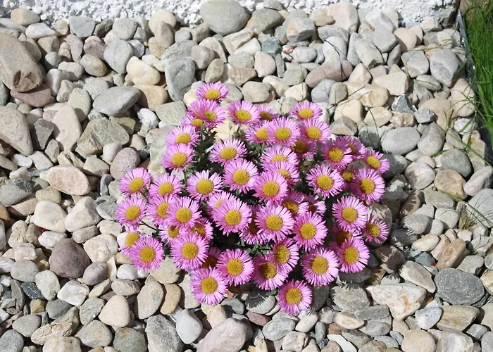 Feriehus Sea Vista - *