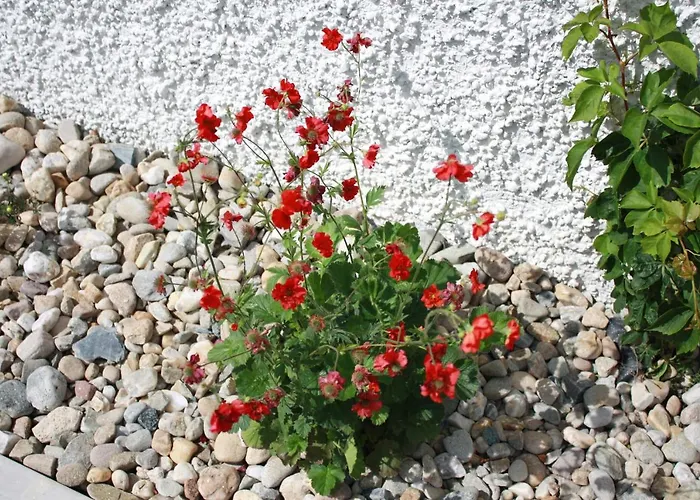 Sea Vista - * Rathmullan