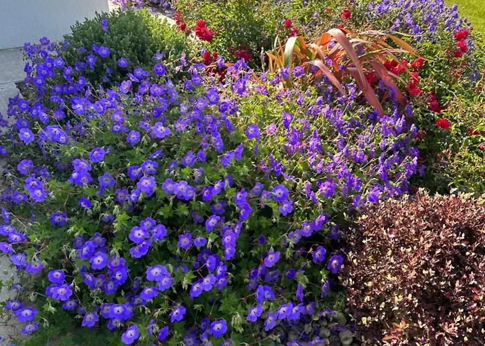 Sea Vista - Prázdninový dům *