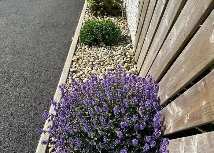 Sea Vista - Rathmullan