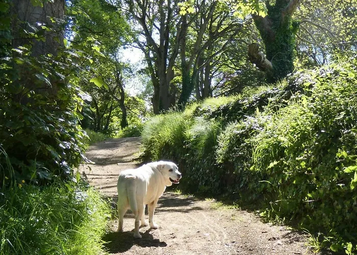 Sea Vista - * Rathmullan